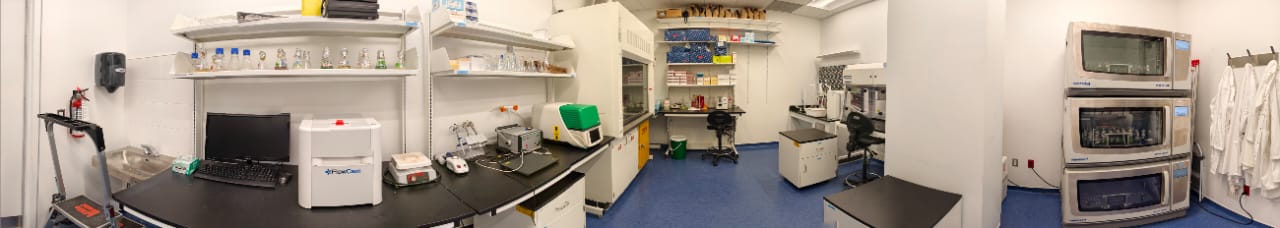 Panoramic view of lab