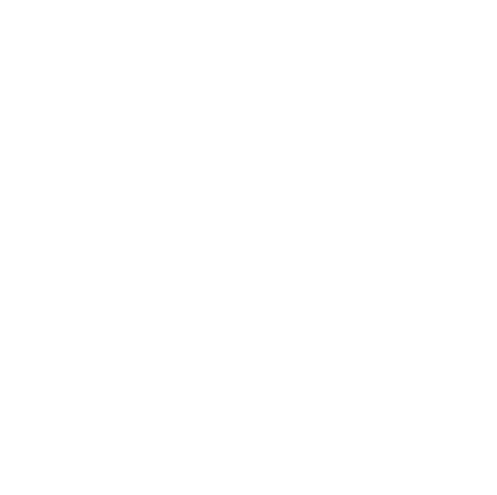 RAEON Logo