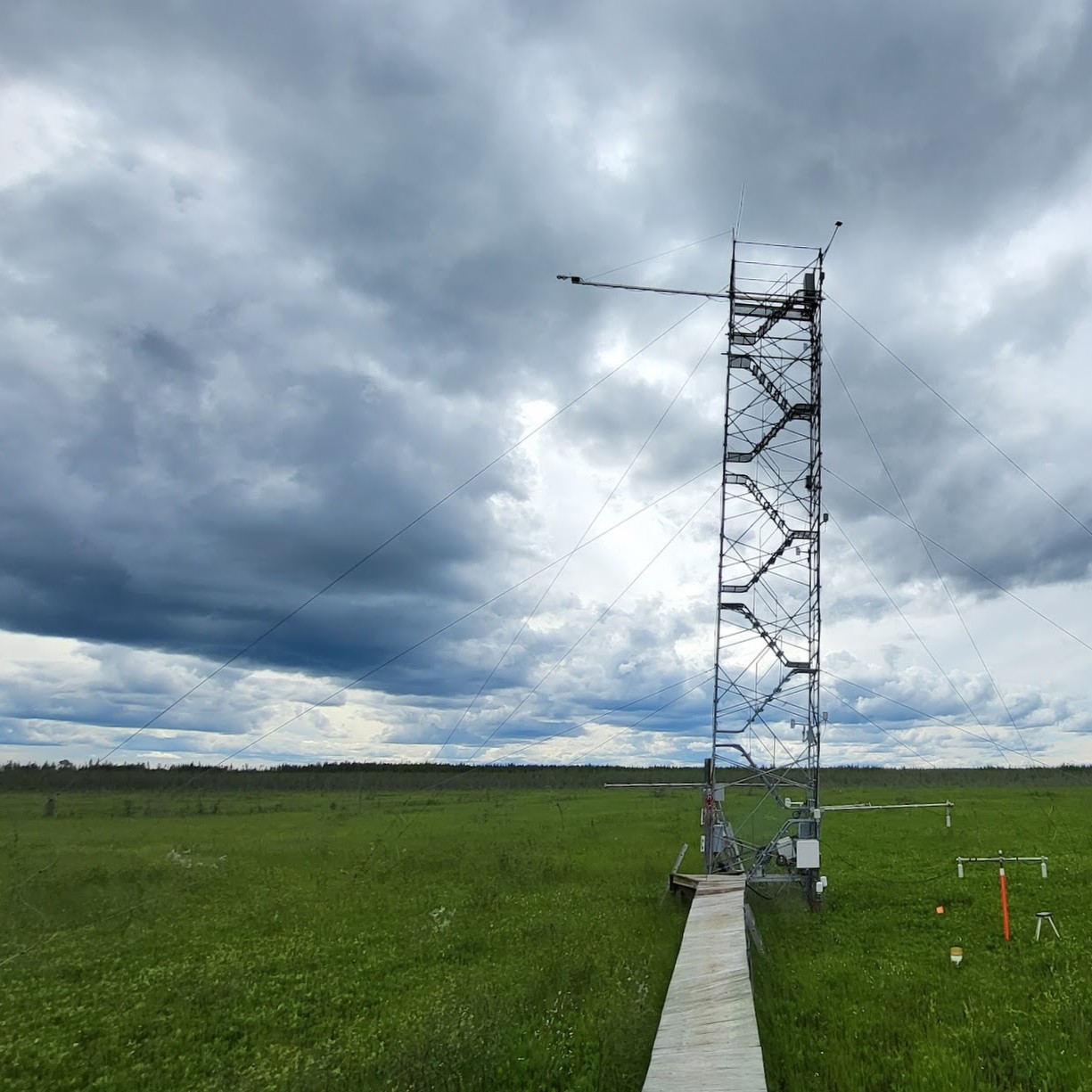 Tower at BERMS Fen site