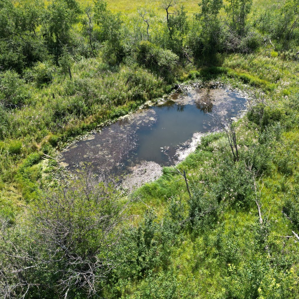 GWFO St. Denis pond